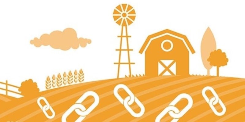مزرعه لینک یا link farm چیست